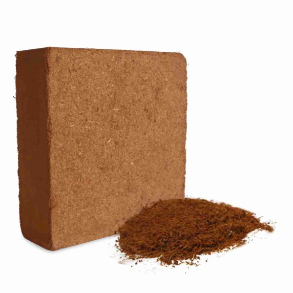 Cocopeat Block