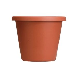 Teracota Plastic Pot