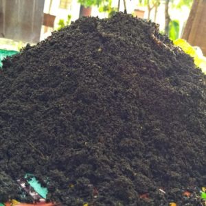 Vermicompost